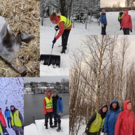 Midgardr Farm Experience Angnis-Timur Winter 2025