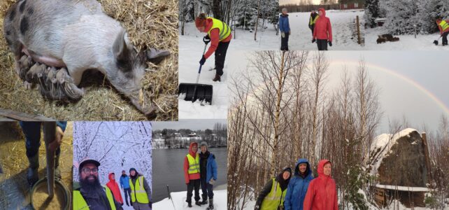 Midgardr Farm Experience Angnis-Timur Winter 2025